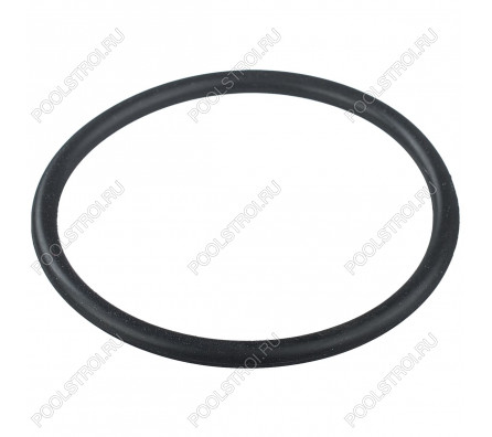 Уплотнительное кольцо соединительной муфты насоса противотока Aquaviva AV-JET